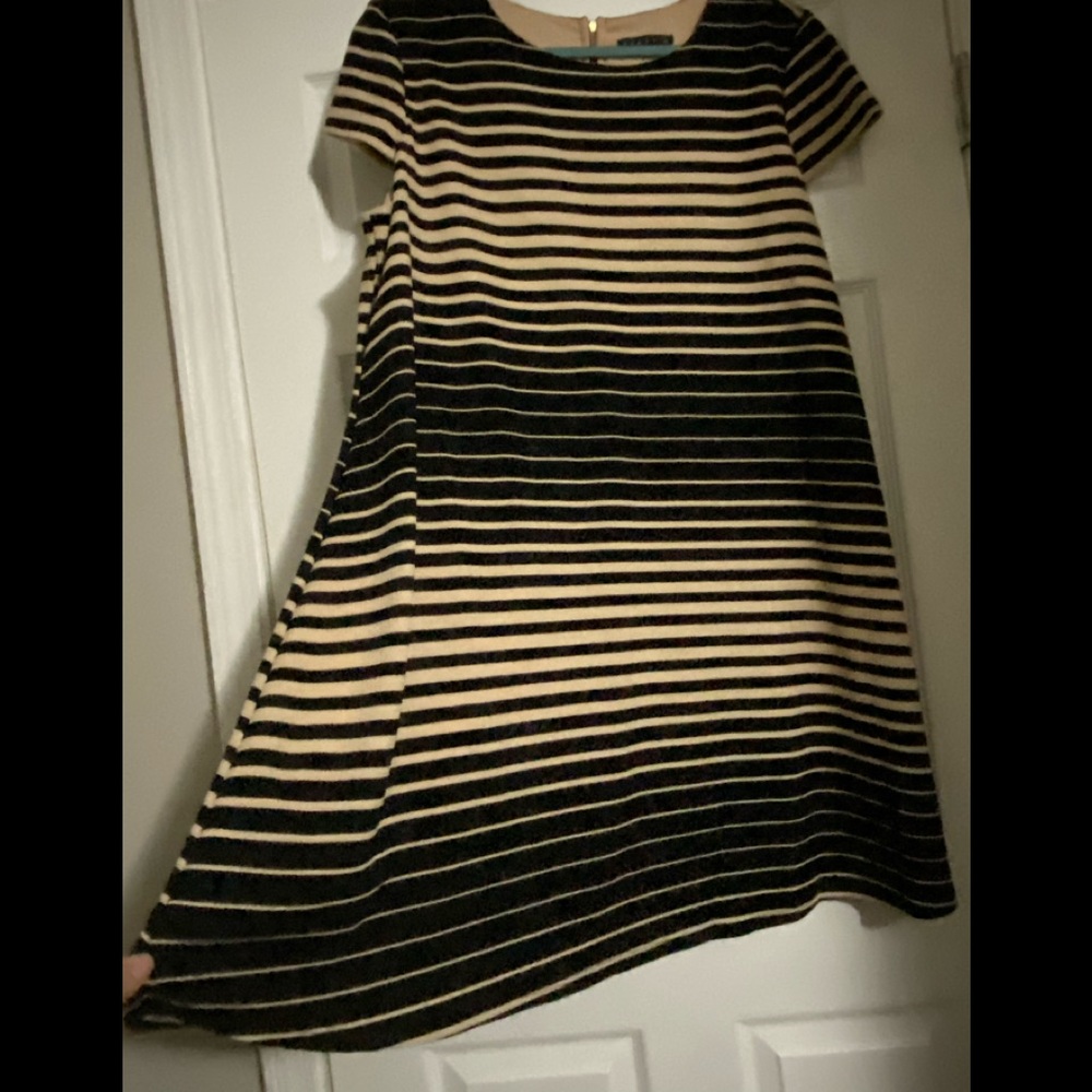 Tiana B Dress Cream & Black A line plus size 20W